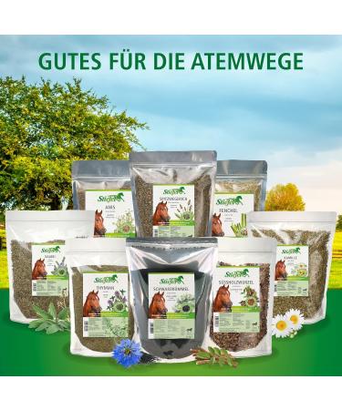 Stiefel Ribwort Cut 500g - Buy Online on GoSupps.com