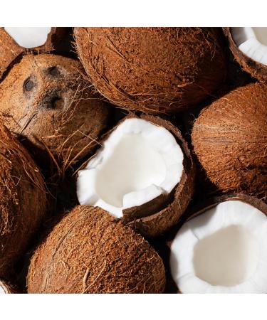 Ecodenta Certified Anti-Plaque Oral Hygiene Organic Cosmetic Kit 75 ml and Alcohol-Free Coconut Bath Fights Bad Breath 500 ml I Anti-Plaque Oral Care - Buy Online on GoSupps.com