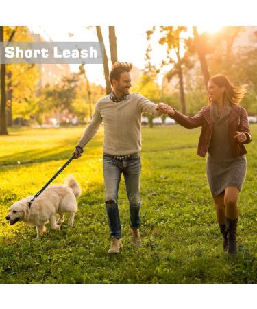 Hands Free Dog Leash - Adjustable Multifunctional Nylon Rope for Running, Walking, and Hiking - Double Lead for Small, Medium, Large Dogs - Black - Buy Online on GoSupps.com