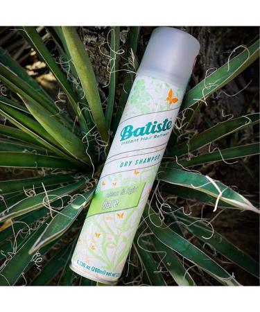 Batiste Bare Fragrance Dry Shampoo 6.73 fl. oz. (Pack of 3) - Refresh and Revitalize Your Hair - Buy Online on GoSupps.com