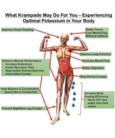 Krampade Whey Protein Fiber Supplement Electrolytes Powder | 30g Protein & 7g BCAA + 9g Soluble Fiber + 2 000mg Potassium + Magnesium Supplement| 2X More K+ Than Coconut Water Zero Sugar Lemon-Lime 1.69 Pound (Pack of 1) - Buy Online on GoSupps.com