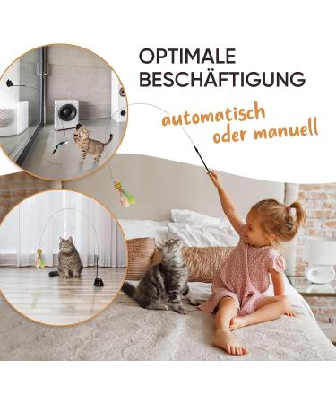 Kasparino Cat Toy Fishing Set 2.0 | Interactive Durable Cat Toys with Springs Bird & Suction Cup | Includes Catnip for Self-Employment Fun - Buy Online on GoSupps.com