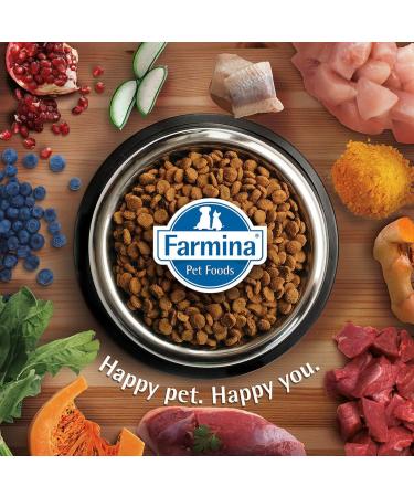 N&D Quinoa Cat Weight Management Lamb 5 kg - Buy Online on GoSupps.com