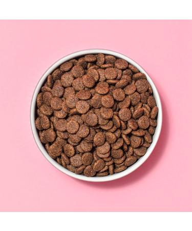 Pooch & Mutt Veterinary Diet Dog Food (Grain Free) Renal 1.5kg 1.5 kg (Pack of 1) - Buy Online on GoSupps.com