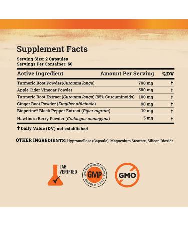 Turmeric Curcumin Supplement with Ginger, Apple Cider Vinegar & BioPerine - 120 Count, 95% Curcuminoids, Joint Support & Antioxidant - Capsules for Turmeric & Ginger - Pack of 1 - Buy Online on GoSupps.com