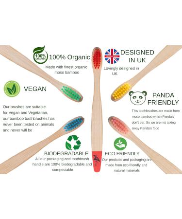 Bamboo Toothbrushes for Adults - BPA-Free Biodegradable Eco-Friendly Family Pack (5 Rainbow Colors) - Plastic-Free Packaging - Buy Online on GoSupps.com
