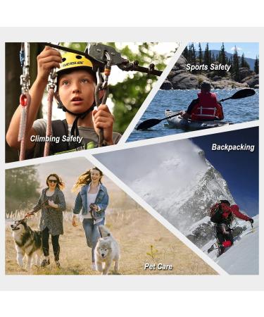 Space Grey Climbing Carabiner Set - 2pc | Durable & Lightweight - Buy Online on GoSupps.com