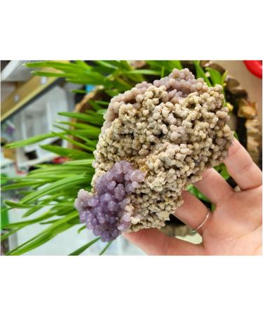 Gemstones and Crystals 50-80g Natural Grape Agate Crystal Specimen Home Decor QINTINYIN - Buy Online on GoSupps.com