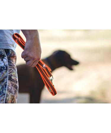 IDC Color & Gray Rubberized Leash - 20mm x 2m Without Loop | Durable Stylish Orange-Gray Dog Leash for International Shipping - Buy Online on GoSupps.com