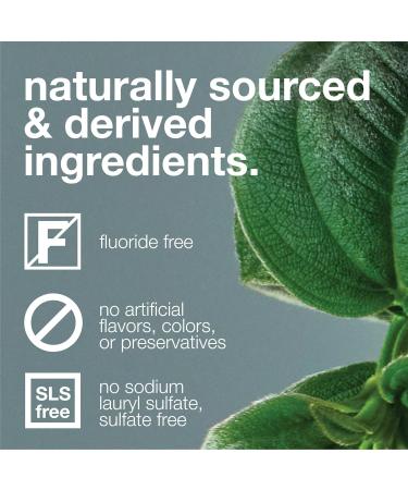 Davids Fluoride Free Nano Hydroxyapatite Toothpaste for Remineralizing Enamel & Sensitive Relief, Whitening, Antiplaque, SLS Free, Natural Peppermint, 5.25oz (3-Pack), Made in USA - Buy Online on GoSupps.com