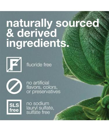 Davids Fluoride Free Kids & Adults Toothpaste - Strawberry Watermelon - 5.25 Oz. - Buy Online on GoSupps.com