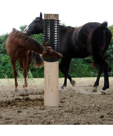 Massage Brush Set for Horses | 2-Piece Scratching Board & Anti-Itch Pad | Essential Horse & Cattle Accessories - Buy Online on GoSupps.com