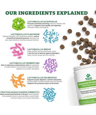 Doggie Dailies Probiotics for Dogs 225 Soft Chews Advanced Dog Probiotics with Prebiotics Promotes Gut Health Supports Immune System and Overall Wellness (Pumpkin) - Buy Online on GoSupps.com