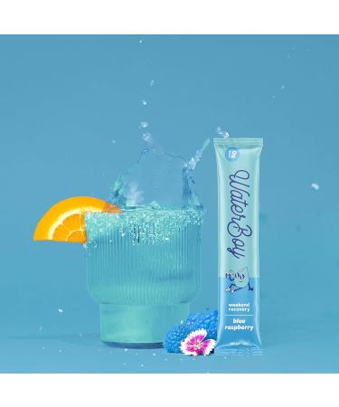 Waterboy Sugar-Free Electrolyte Hydration Powder Packets - Hangover Relief with Ginger, L-Theanine, and Multiplier Vitamins - 20 Drink Stick Mixes - Raspberry Flavor - 20 Count - Buy Online on GoSupps.com