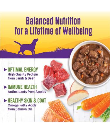 Wellness Thick & Chunky Natural Canned Dog Food - Lamb & Beef Stew, 12.5 oz (Pack of 12) - Buy Online on GoSupps.com