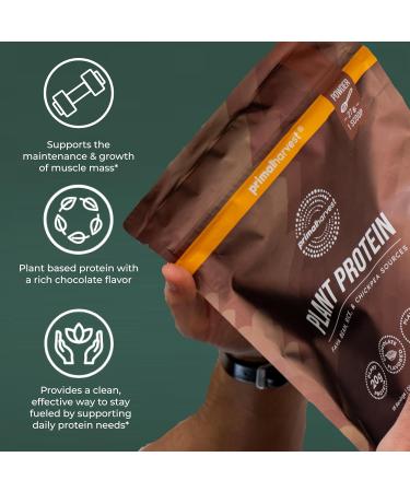 Primal Harvest Vegan Protein Powder for Nutritional Weight Support 20g Plant-Based Protein Per Serving from Fava Beans Chickpeas & Rice Chocolate Flavor 405g Gluten-Free Soy-Free No Added Sugar Chocolate 14.29 Ounce (Pack o  - Buy Online on GoSupps.com