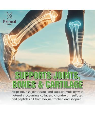 Primal Being Grassfed Beef Cartilage Collagen (Type I-V & XI)- Supports Hair Skin Nails Joint Health Immunity Digestion Post Exercise Recovery - 120 Capsules 3000 mg per Serving - Buy Online on GoSupps.com