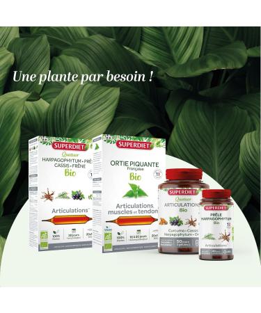 SUPERDIET - TURMERIC PIPERIN ORGANIC - Joints - Herbal medicine - Made in France - 45 capsules - Buy Online on GoSupps.com