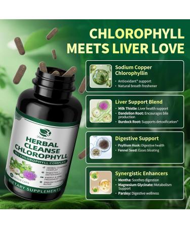 Lukaree Chlorophyll Herbal Complex Capsules, 60 Vegan Chlorophyll Capsules for Detox, Digestion, Gut & Skin Health, Energy & Immune Support, Long-Term Freshness & Well-Being Chlorophyll Capsule 60PCS - Buy Online on GoSupps.com