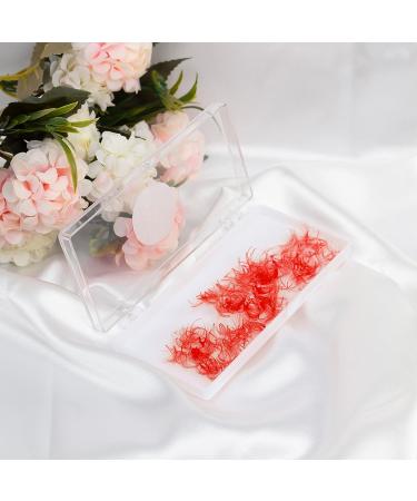 VNE 500 Fans Colorful Premade Volume Lash Extensions | Red 6D | 15mm D Curl | Single Color Box - Buy Online on GoSupps.com