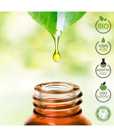 Organic Rosemary Oil 100% Pure - 30ml Essential Oil for Aromatherapy & Cosmetic Use | Laboratory Tested - Buy Online on GoSupps.com