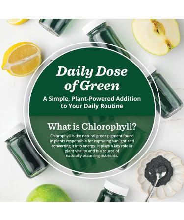 All About Juicing Chlorophyll Green Juice Shots - Clean Energy Detox Alkalize - 15 Stick Packs - 120 mg Superfood Juice Powder - PuriVibe 0.14 Ounce (Pack of 15) - Buy Online on GoSupps.com