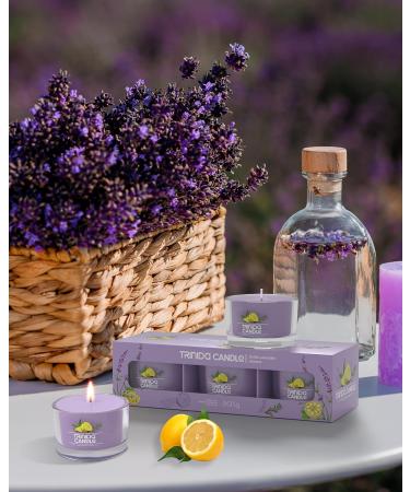 TRINIDa Scented Candle Gift Set - Sicilia Lavender Limone | Retro Garden Collection | Perfect Birthday Gift for Her - Buy Online on GoSupps.com