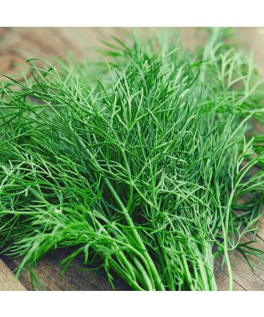 Dill Leaves - Dried Leaves Dill 100% Natural - NCA (100) - Buy Online on GoSupps.com