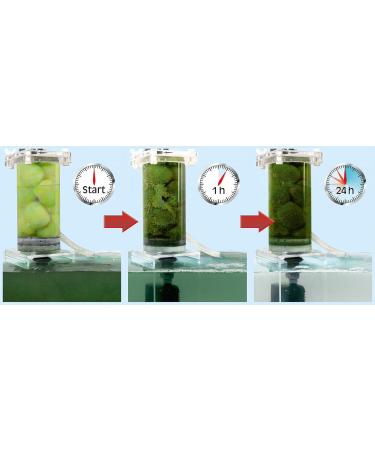 Buy Sera Siporax Mini Professional 270g & Crystal Clear 12 Filter Balls Advanced 3D Fiber Technology for Ultimate Clarity | International Shipping Available - Buy Online on GoSupps.com