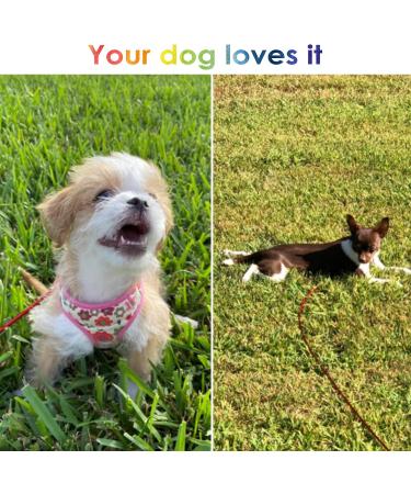 Artilife 30FT Dog Stakes Dog Leash Ground Anchor Tie Out Cable and 16.5" Anti Rust Stake for Small to Medium Dog Up to 100Lbs in Weight in Outdoor Yard and Camping - Buy Online on GoSupps.com