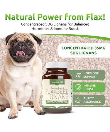 Lignans For Life Flaxseed Lignans for Dogs DG - Omega 3 Fatty Acids Digestive & Heart Health Lignans for Dogs 35 mg 90 Capsules - Pack Of 2 - Buy Online on GoSupps.com