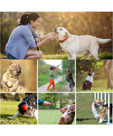 Wasuqo 2-Pack High Frequency Dog Whistle & Clicker Training Set - Black/Red | Perfect Recall & Training Tool for All Dogs - Buy Online on GoSupps.com