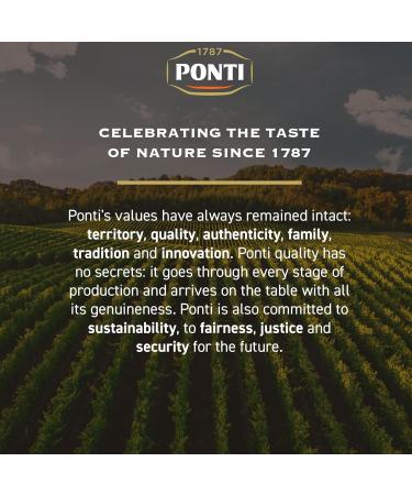 Ponti Organic Balsamic Vinegar of Modena IGP Glaze - 2x250g | Ideal for Meat, Fish & Vegetables | Sweet & Sour Flavour | Decorate Desserts - Buy Online on GoSupps.com