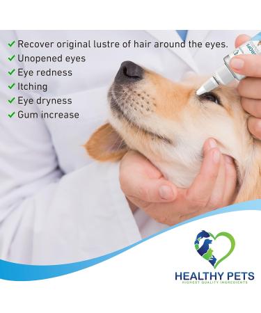 Pet Eye Drops: Antibiotic Ointment for Infection Relief in Dogs & Cats - Buy Online on GoSupps.com
