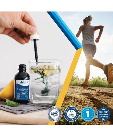 Trace Minerals Ionic Chlorophyll | Immune Boost & Antioxidant | Mint Flavored, 2.0oz 6000mg - Buy Online on GoSupps.com