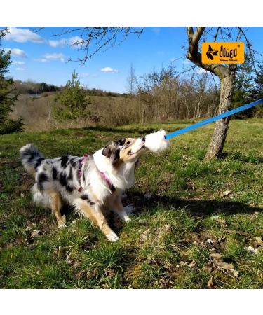 Premium Dingo Dog Toys - Real Lambskin Grip Toys for Training & Motivation - Blue Long Handle 15583 - Buy Online on GoSupps.com