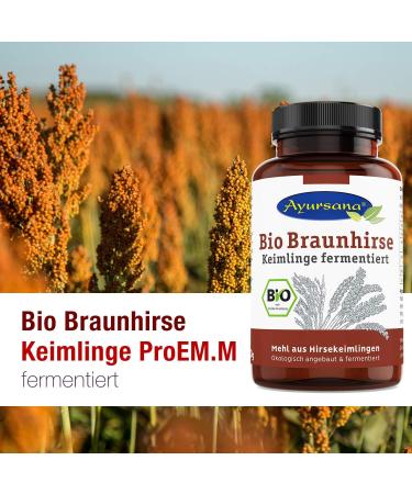 Buy Ayursana Organic Brown Millet Sprouts - Fermented Raw Food ProEM.M 300g | International Shipping Available - Buy Online on GoSupps.com