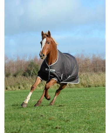 Bucas Freedom Turnout 300 g - Caf  - Buy Online on GoSupps.com