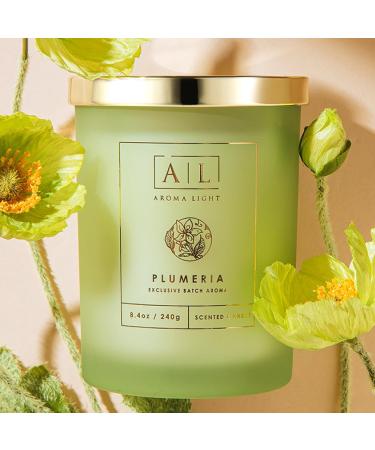 AL Plumeria Scented Jar Candle - 8.4oz Floral Fragrance | Buy Internationally - Buy Online on GoSupps.com