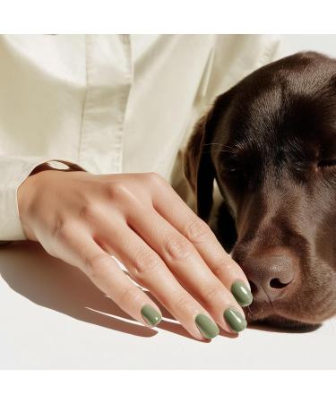 Odass Paris - Vernis Semi-Permanent Sans HEMA Sans TPO & Vegan - Application Facile la Maison - D pose Douce sans Ab mer les Ongles - Fabriqu en France partir d Ingr dients Biosourc s Olive - Buy Online on GoSupps.com