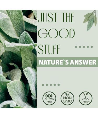 Nature's Answer Dandelion Root 2.000mg 30ml Gluten Free Soy Free Vegetarian - Buy Online on GoSupps.com