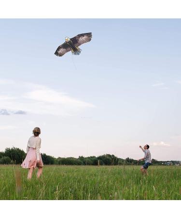 JEKOSEN 70 Bald Eagle Huge Kite | Easy-to-Fly Single Line String for Kids and Adults | Perfect for Beach Trips, Parks, and Outdoor Family Games - Buy Online on GoSupps.com