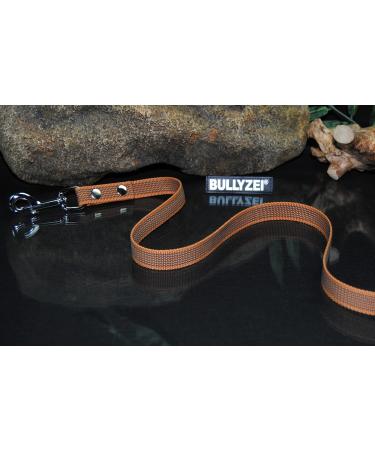 Leash rubberized 5m without loop Cognac towline