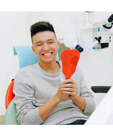 200-Piece Dental Brush Stick Toothpick Set - Soft Silica Silicone Double-Ended for Dogs | Power Dental Nursing Kit - Buy Online on GoSupps.com