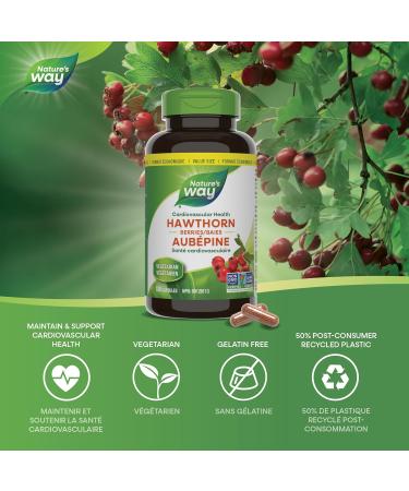 Nature's Way Hawthorn Berries Cardiovascular Health Support Heart Health - Premium Herbal Supplement - 180 Vegetarian Capsules Value Size 180 count (Pack of 1) - Buy Online on GoSupps.com
