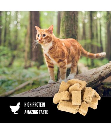 ORIJEN Freeze Dried Cat Treats - Grain Free, Natural & Raw Animal Ingredients - 1.25 oz - Buy Online on GoSupps.com