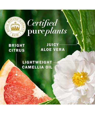 Herbal Essences Pure Plants Grapefruit Volumizing Shampoo with Certified Camellia Oil and Aloe Vera For All Hair Types Especially Fine Hair 400 mL - Buy Online on GoSupps.com