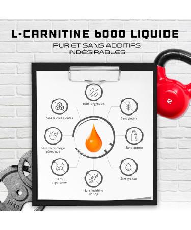 L-Carnitine 6000 Liquid - 1000 ml - Extra Heavily Dosed with 6000mg Pure L-Carnitine per Daily Serving - Amino Workout Drink - Delicious Flavor (Orange Power) - Vegan - Buy Online on GoSupps.com