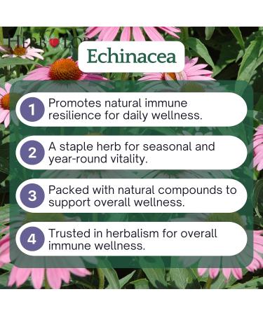 Herb Lore Organic Echinacea Tincture Drops for Kids & Adults USDA Organic Liquid Echinacea Angustifolia & Purpurea Root Extract Alcohol-Free Immune Support (4 fl oz) 4 Fl Oz (Pack of 1) - Buy Online on GoSupps.com