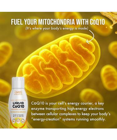 MBS Biotechnology Liquid CoQ10 120mg of Bioavailable Ubiquinone for Superior Absorption. Support Heart Bone and Skin Health with a Natural Antioxidant. 35 Servings in a Convenient 17 oz Bottle. - Buy Online on GoSupps.com